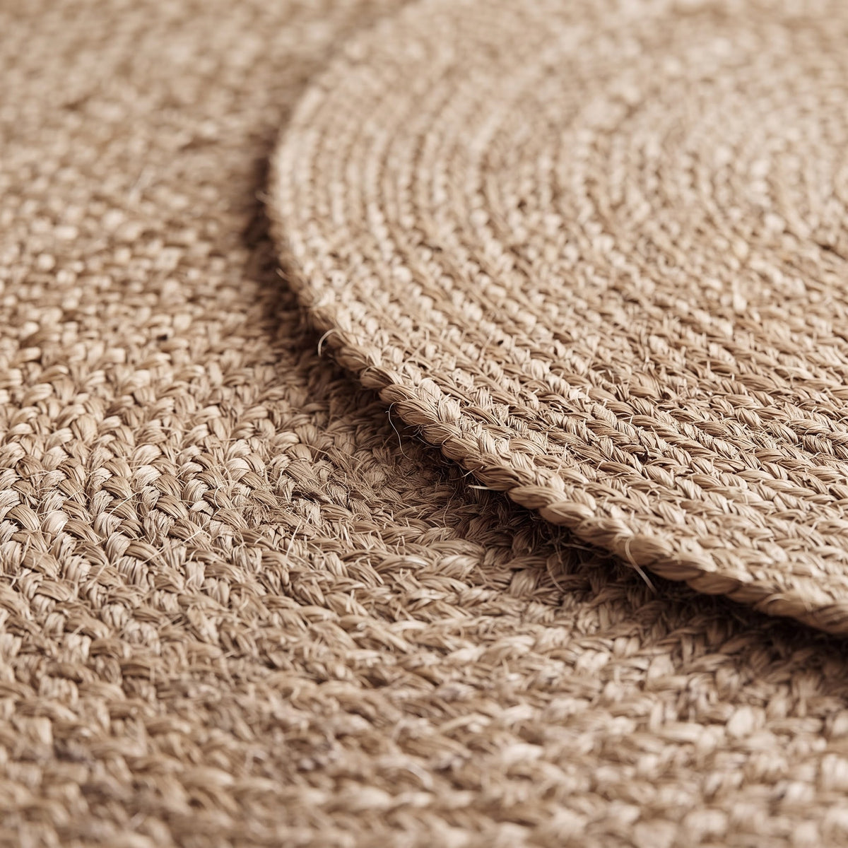 Tapis | CIRO